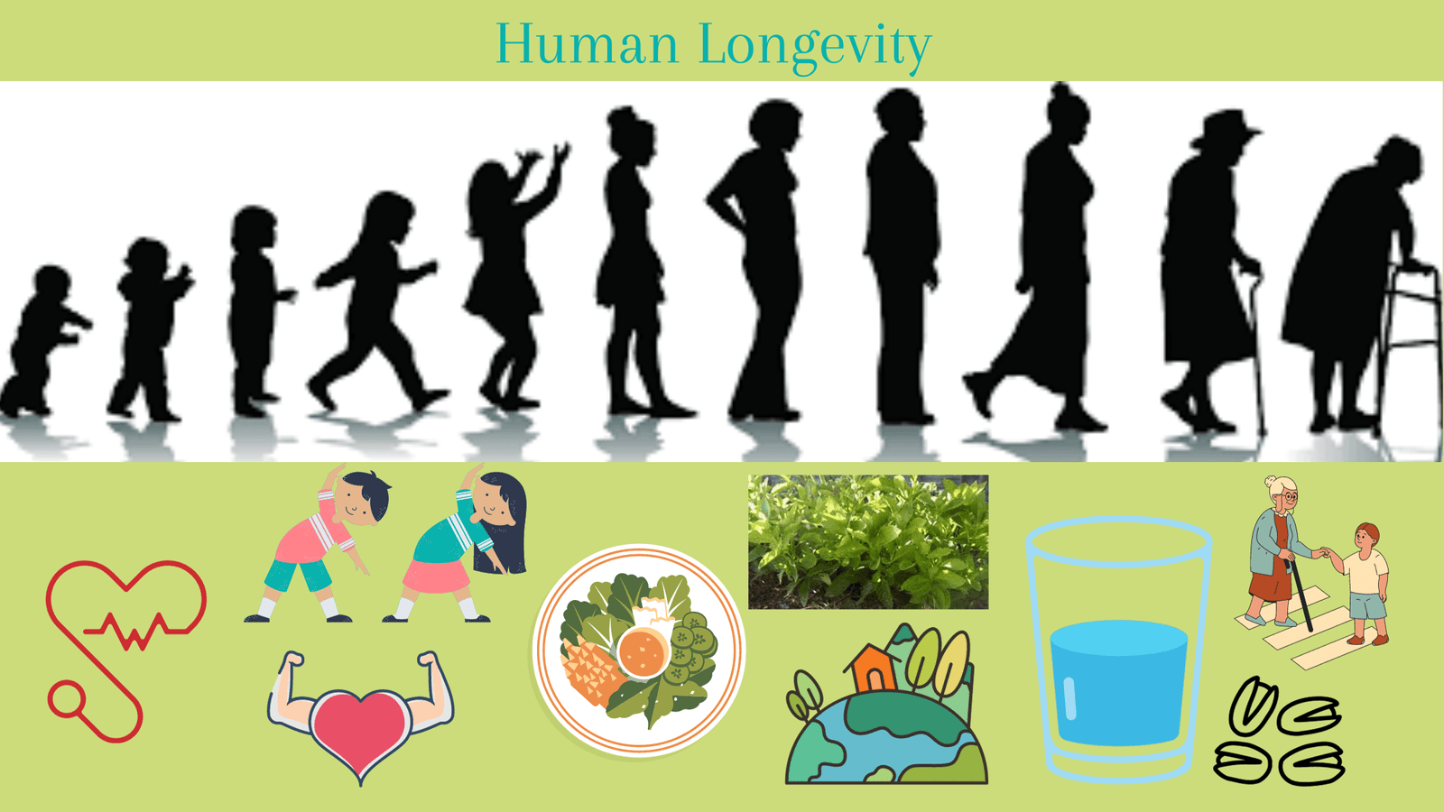 Read more about the article Human Longevity Lifestyle: Habits for a Healthier, Longer Life