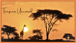 Read more about the article “Tanzania Uncovered: Secret Beaches, Luxury Resorts & Swahili Secrets You Can’t Miss!”
