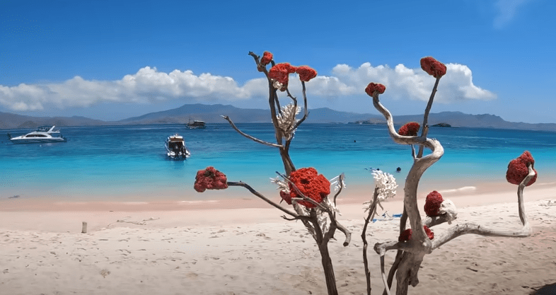 Komodo beach